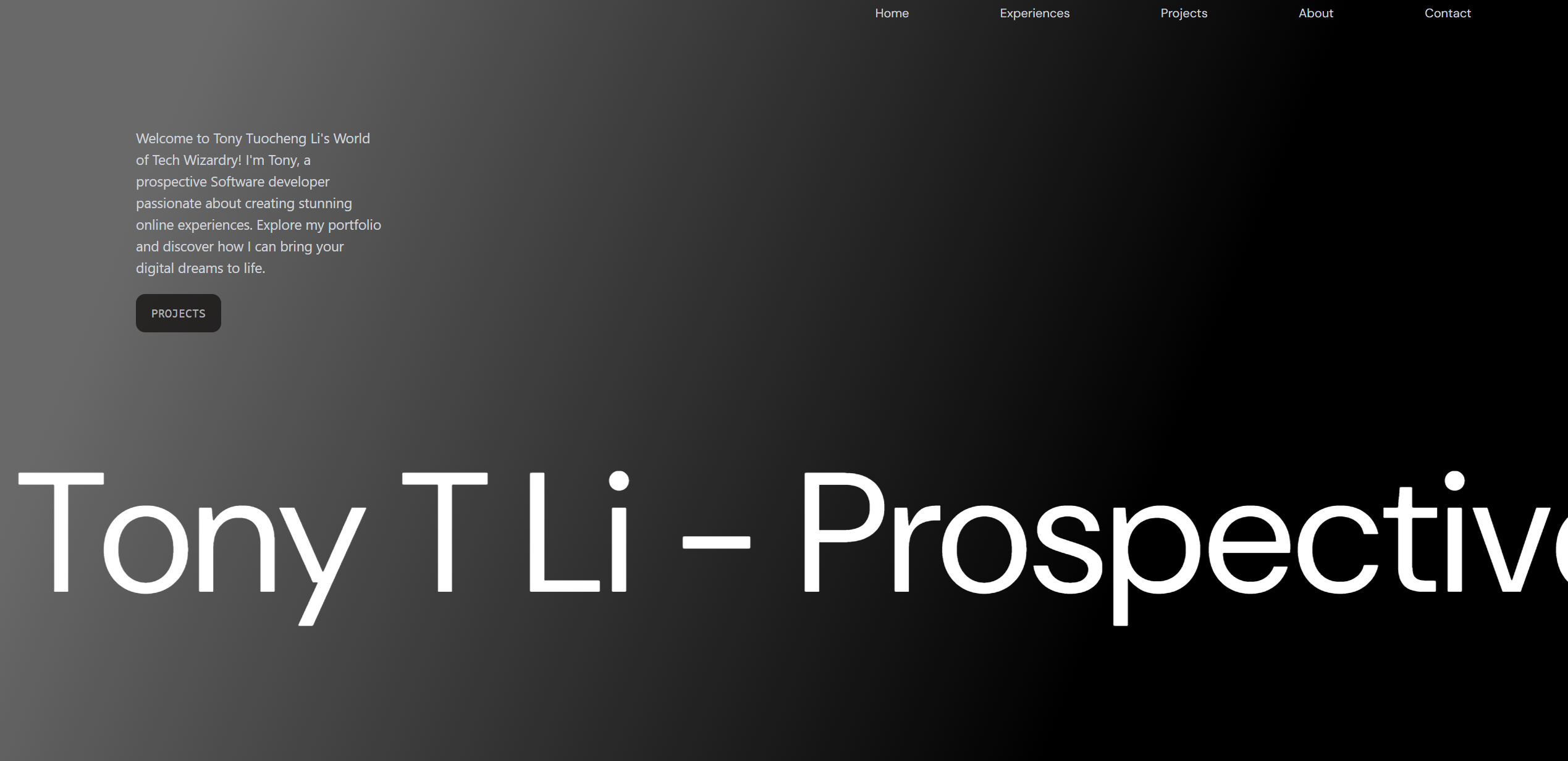Web Portfolio